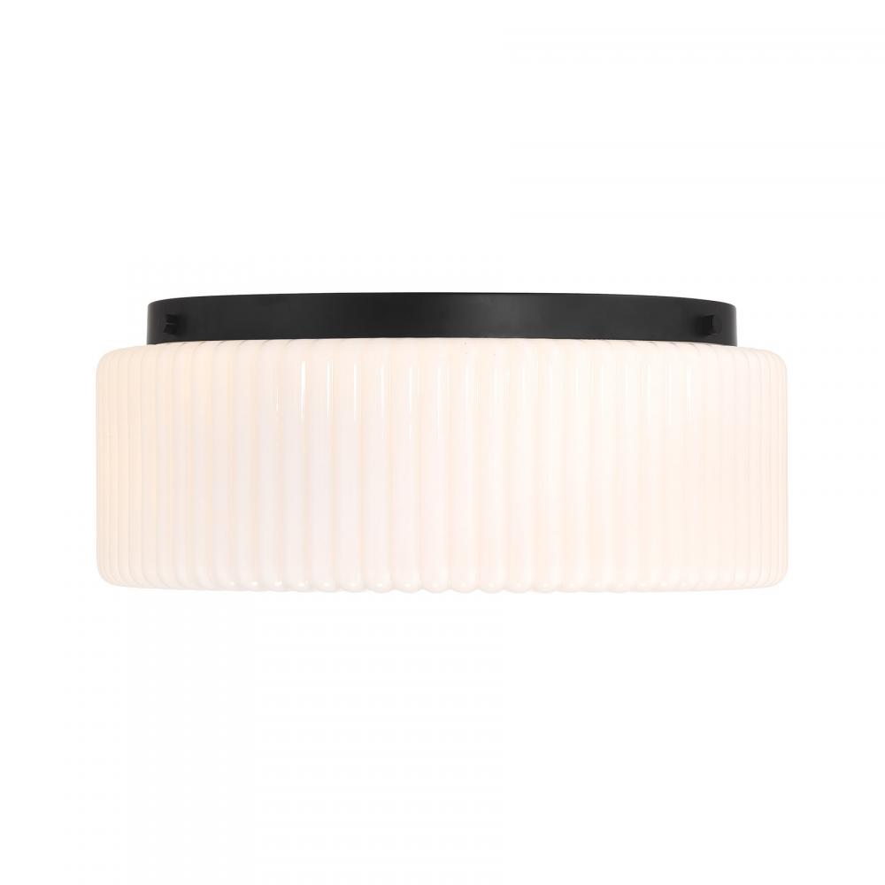 Edgemont 4-Light Ceiling Light in Matte Black