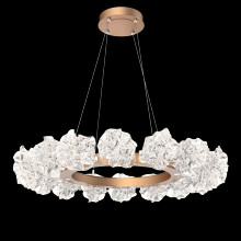 Hammerton CHB0059-24-BB-BC-CA1-L1 - Blossom Radial Ring Chandelier - 24