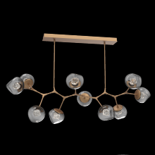 Hammerton PLB0095-BC-NB-ZS-001-L1 - Luna Modern Branch Chandelier