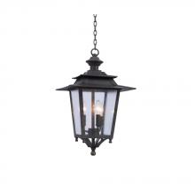 Anzalone Electric and Lighting Items 404150AI - Saddlebrook Large Hanging Lantern