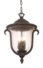 Anzalone Electric and Lighting Items 9007BB - Santa Barbara Outdoor 3 Light Medium Hanging Lantern