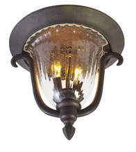 Anzalone Electric and Lighting Items 9017BB - Santa Barbara Outdoor 2 Light Flush Mount