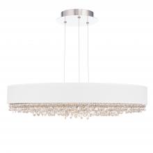 Schonbek 1870 S6329-401RW1 - Eclyptix LED 29in 3000K/3500K/4000K 120V-277V Pendant in Polished Stainless Steel with Clear Radia