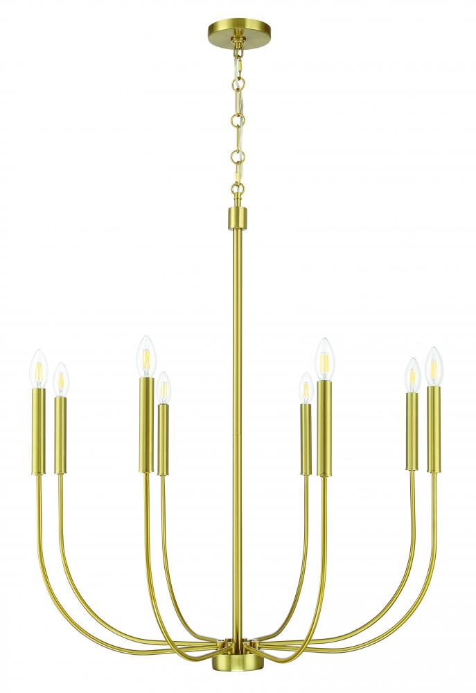 Traci 8 Light Chandelier in Satin Brass