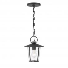 Anzalone Electric and Lighting Items AND-9203-CL-MK - Andover 1 Light Matte Black Outdoor Pendant