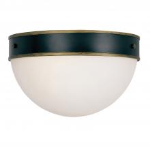 Anzalone Electric and Lighting Items CAP-8503-MK-TG - Brian Patrick Flynn Capsule 2 Light Matte Black + Textured Gold Outdoor Flush Mount