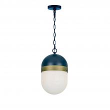 Anzalone Electric and Lighting Items CAP-8507-MK-TG - Brian Patrick Flynn Capsule 1 Light Matte Black + Textured Gold Outdoor Pendant