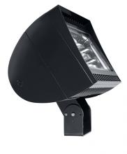 RAB Lighting FXLED300T/PCS - FLEXFLOOD 300W COOL LED