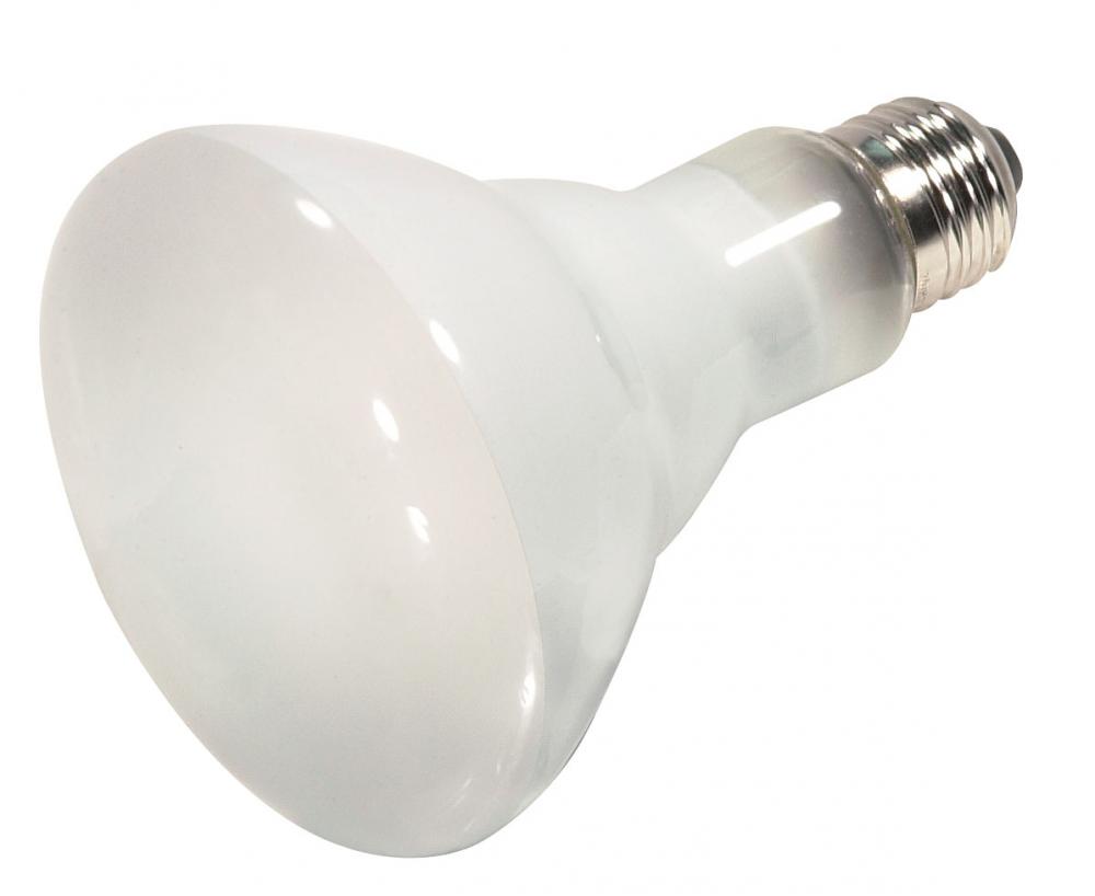 60 Watt; Halogen; BR30; Frosted; 2500 Average rated Hours; 730 Lumens; Medium base; 120 Volt