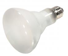 Satco Products Inc. S4501 - 60 Watt; Halogen; BR30; Frosted; 2500 Average rated Hours; 730 Lumens; Medium base; 120 Volt