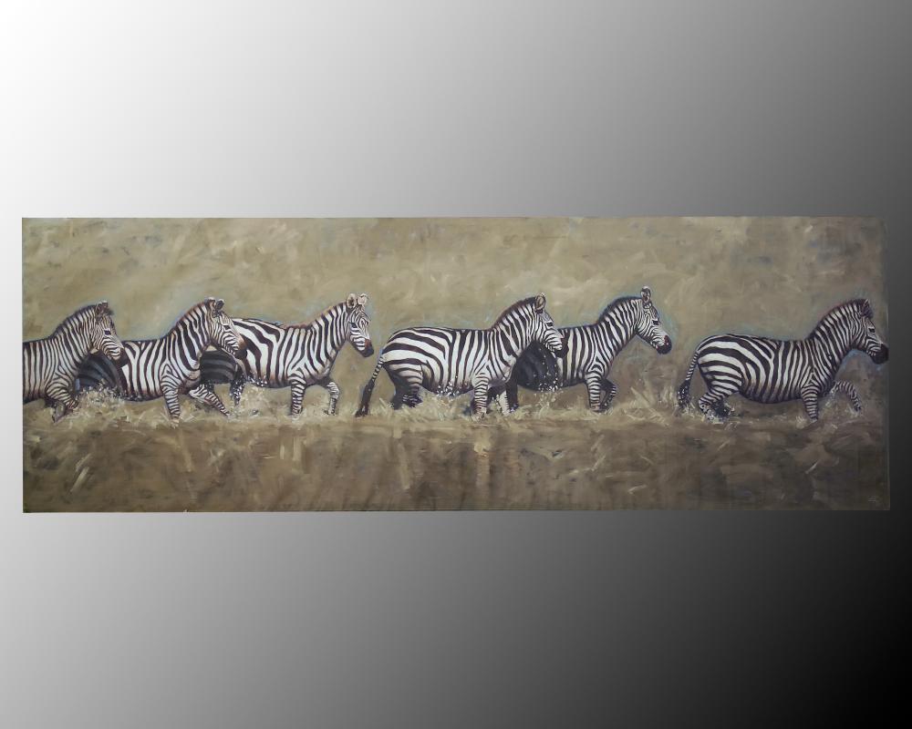 147X49 HERD OF ZEBRA