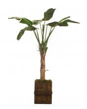 J. Richard JRB-2087 - 101X68X68 BANANA TREE IN CONTAINER