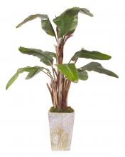 J. Richard JRB-2139 - 105X60X60 NATURAL BANANA TREE