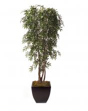 J. Richard JRB-2168AA - 99X39X39 SMILEX TREE/CONCRETE CONTAINER