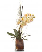 J. Richard JRB-2408W - 29X18X9 ORGANIC ORCHID