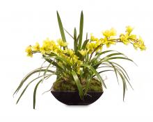 J. Richard JRB-2421 - 29X43X43 CRISS CROSS ORCHIDS