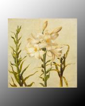 J. Richard JRO-2359 - 48X48 ''LUIS DANIEL'' LILIUM 