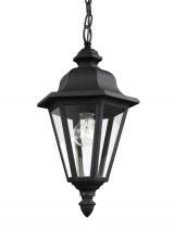 Anzalone Electric and Lighting Items 6025-12 - Brentwood traditional 1-light outdoor exterior ceiling hanging pendant in black finish with clear gl