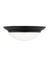 Anzalone Electric and Lighting Items 75436-112 - Three Light Ceiling Flush Mount