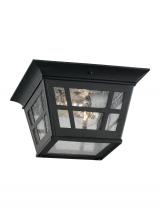 Anzalone Electric and Lighting Items 78131-12 - Herrington transitional 2-light outdoor exterior ceiling flush mount in black finish with clear seed