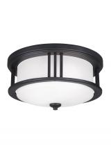 Anzalone Electric and Lighting Items 7847902-12 - Crowell contemporary 2-light outdoor exterior ceiling flush mount in black finish with satin etched