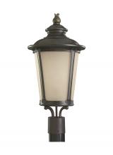 Anzalone Electric and Lighting Items 82240-780 - Cape May traditional 1-light outdoor exterior post lantern in burled iron grey finish with etched li