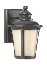 Anzalone Electric and Lighting Items 88240D-780 - Cape May traditional 1-light outdoor exterior small Dark Sky compliant wall lantern sconce in burled