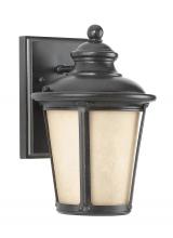 Anzalone Electric and Lighting Items 88240DEN3-780 - Cape May traditional 1-light LED outdoor exterior small Dark Sky compliant wall lantern sconce in bu