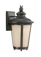 Anzalone Electric and Lighting Items 88241EN3-780 - Cape May traditional 1-light LED outdoor exterior medium wall lantern sconce in burled iron grey fin