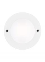 Anzalone Electric and Lighting Items 984100S-15 - Disk Light LED, 250 lumens, 3 watt, 3000K, 90 CRI