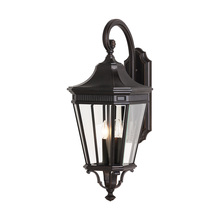 Anzalone Electric and Lighting Items OL5404GBZ - Large Lantern