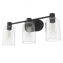 Hunter 19712 - Hunter Lochemeade Noble Bronze with Seeded Glass 3 Light Bathroom Vanity Wall Light Fixture