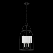 Anzalone Electric and Lighting Items H871703-AI - Delia Lantern