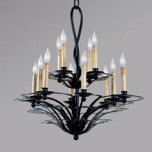 Authenticity 10-0045-12-10 - Twelve Light Black Up Chandelier