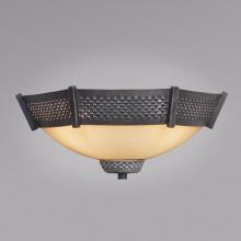 Authenticity 40-0040-02-25 - Black Wall Light