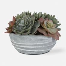 Uttermost 60212 - Uttermost Peoria Succulent Accent