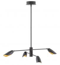 Fredrick Ramond FR35804BLK - Large Adjustable Convertible Single Tier Chandelier