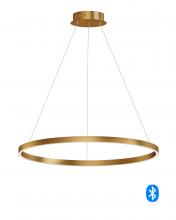 Anzalone Electric and Lighting Items E22726-GLD - Groove WiZ-Single Pendant