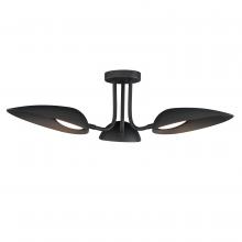 Anzalone Electric and Lighting Items E24094-BK - Marsh-Flush Mount