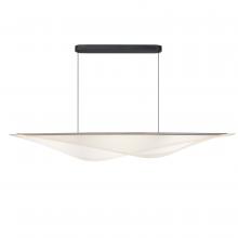 Anzalone Electric and Lighting Items E24718-144BK - Manta-Linear Pendant