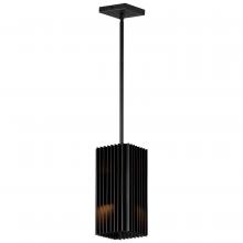 Anzalone Electric and Lighting Items E30119-BK - Rampart-Outdoor Pendant